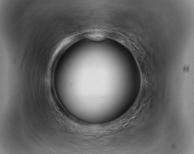 X0000101180006200806271302