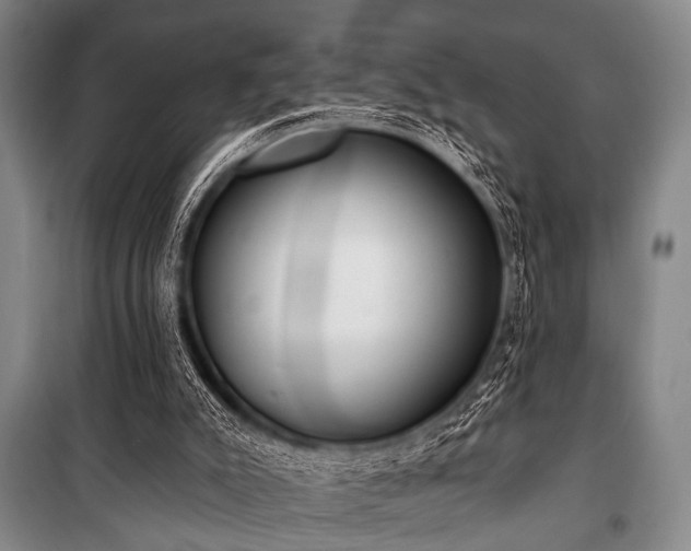 X0000101180007200806271302