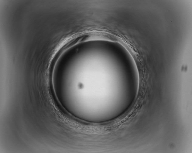 X0000101180008200806271302