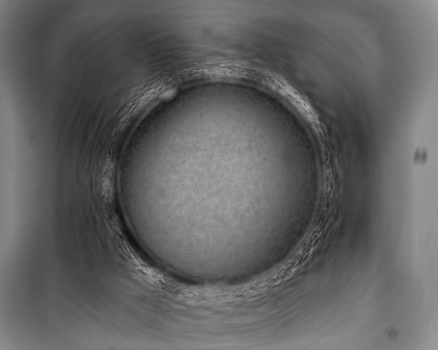 X0000101180009200806271302