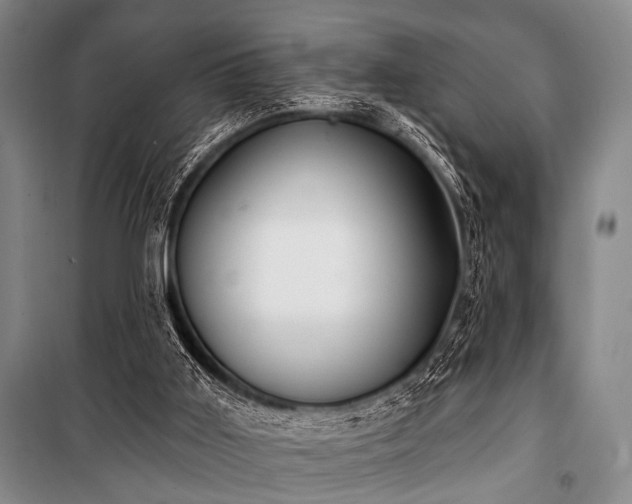 X0000101180011200806271302