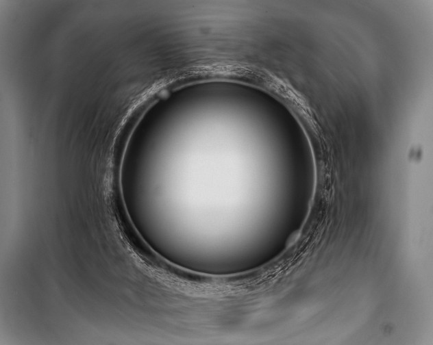 X0000101180012200806271302