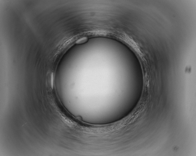 X0000101180013200806271302