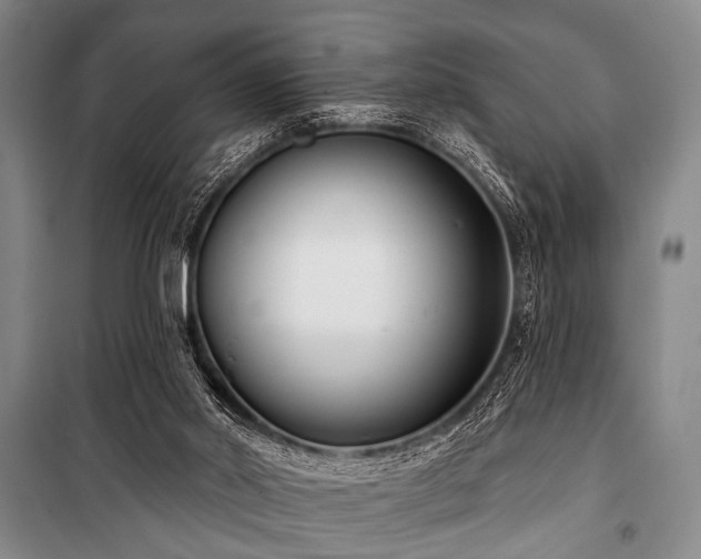 X0000101180014200806271302