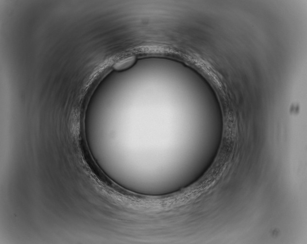 X0000101180015200806271302