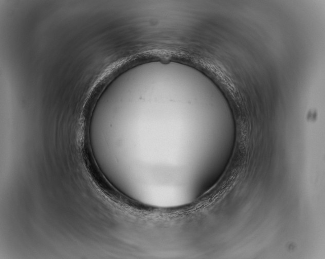 X0000101180016200806271302