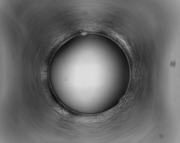 X0000101180017200806271302