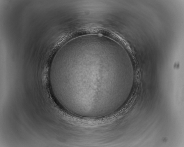 X0000101180018200806271302