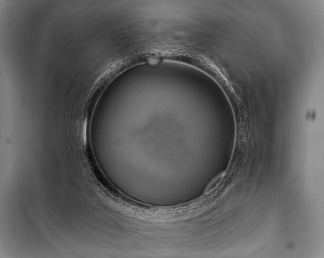 X0000101180019200806271302