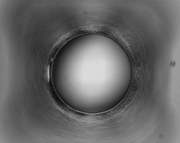 X0000101180020200806271302