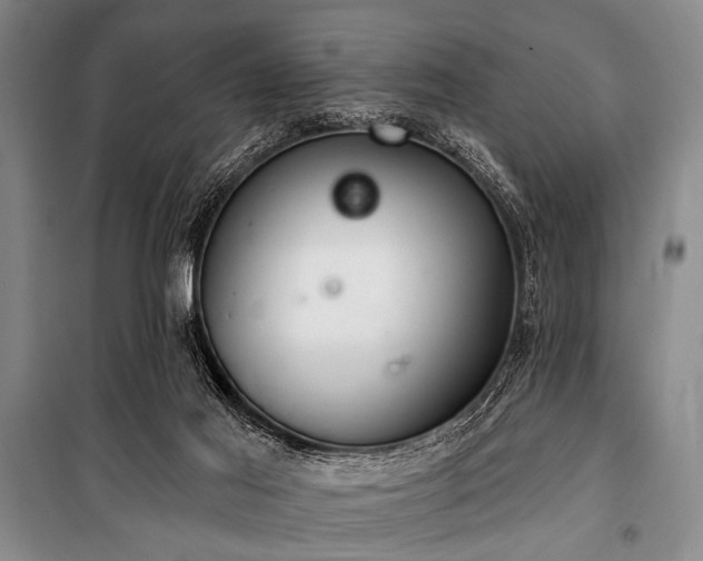 X0000101180021200806271302