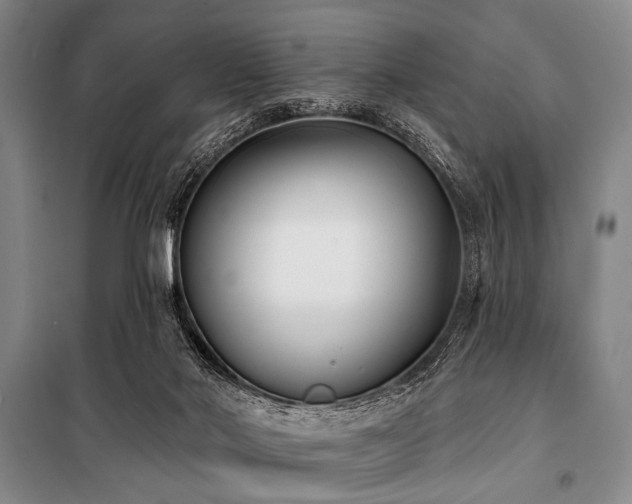 X0000101180022200806271302