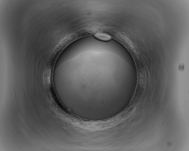 X0000101180023200806271302