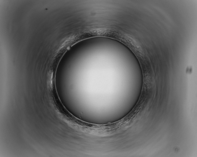 X0000101180024200806271302