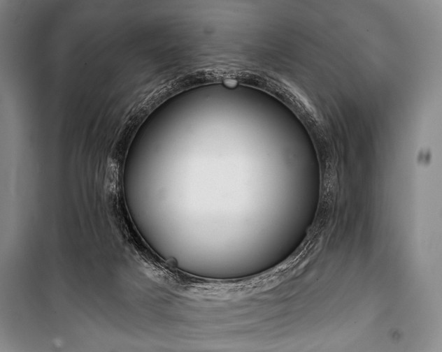 X0000101180025200806271302