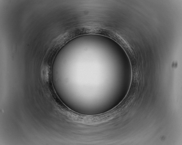 X0000101180026200806271302