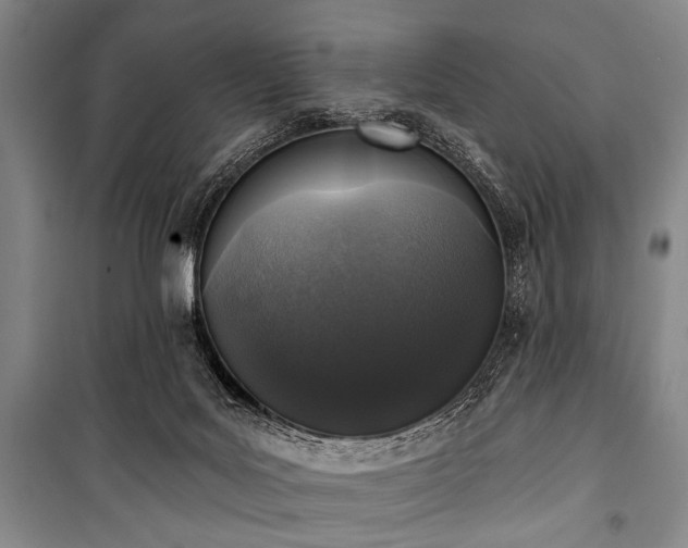 X0000101180027200806271302
