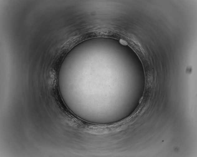 X0000101180029200806271302
