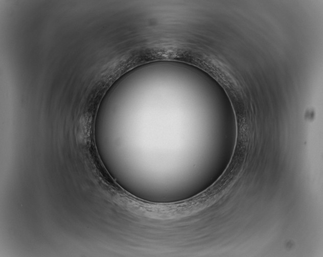 X0000101180030200806271302