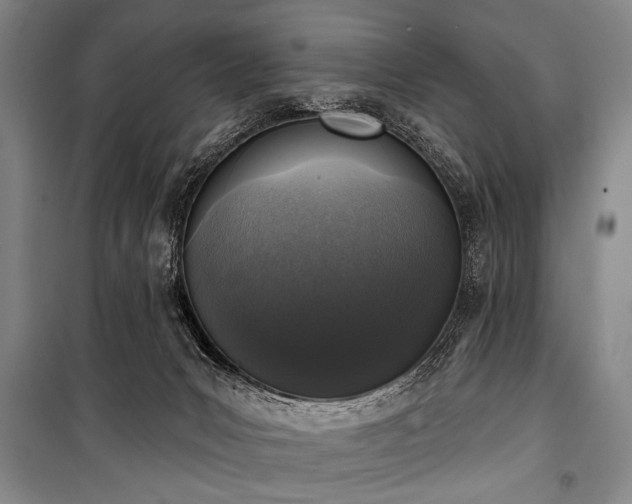 X0000101180031200806271302