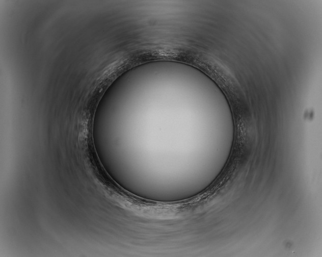 X0000101180032200806271302