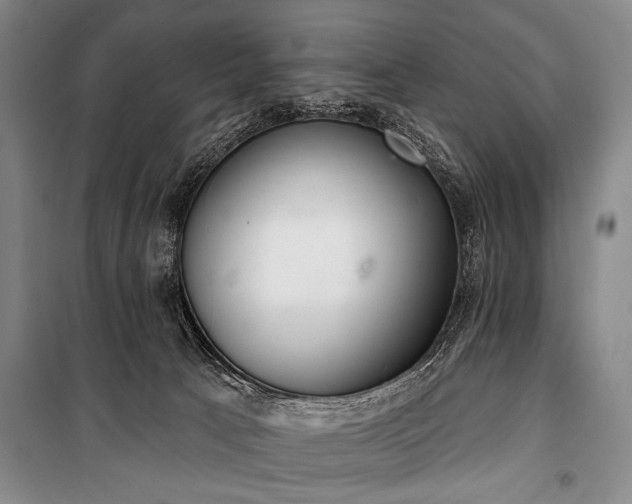 X0000101180033200806271302