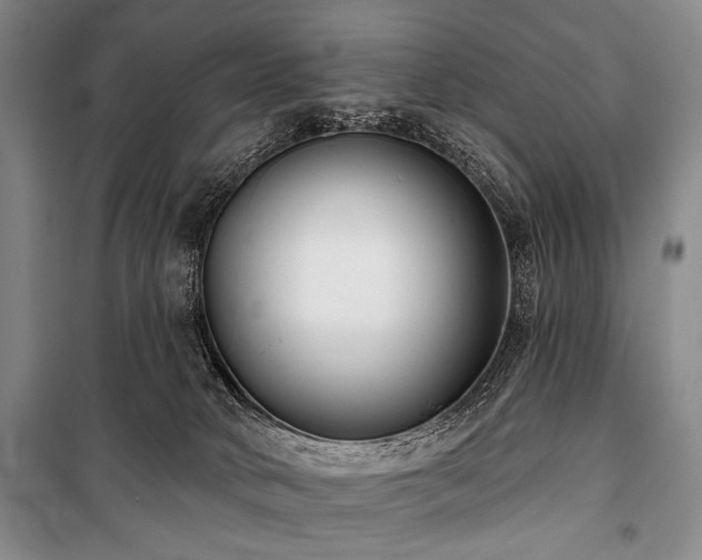 X0000101180034200806271302