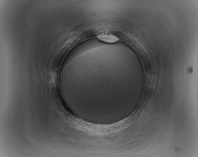 X0000101180035200806271302