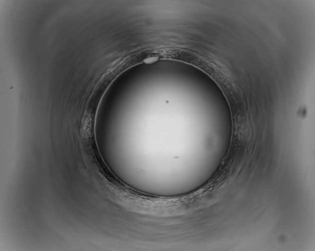 X0000101180036200806271302