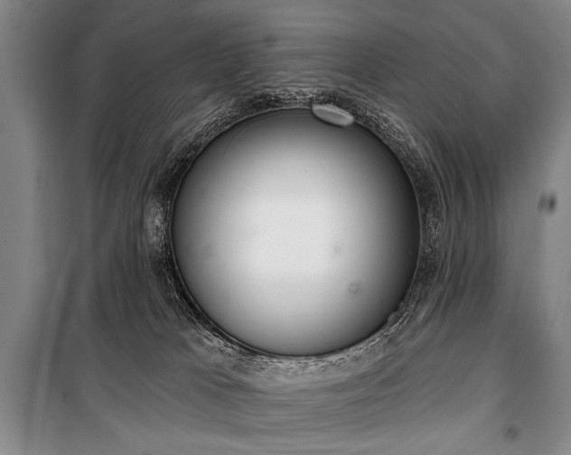 X0000101180037200806271302