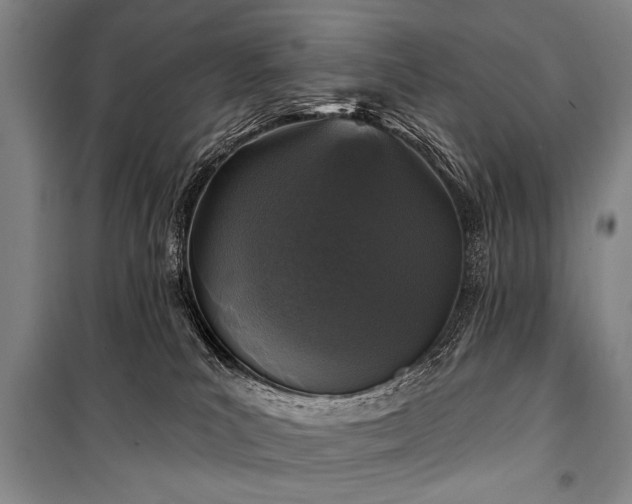 X0000101180039200806271302