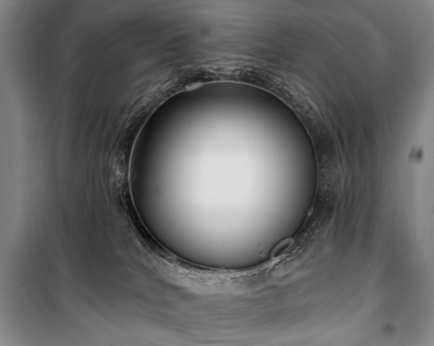 X0000101180040200806271302