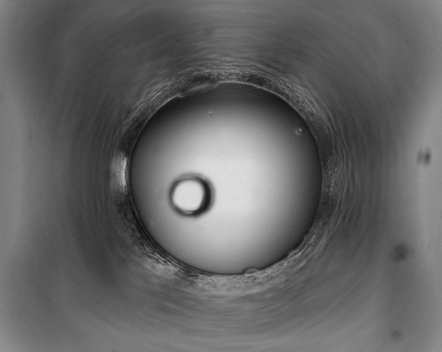 X0000101180041200806271302
