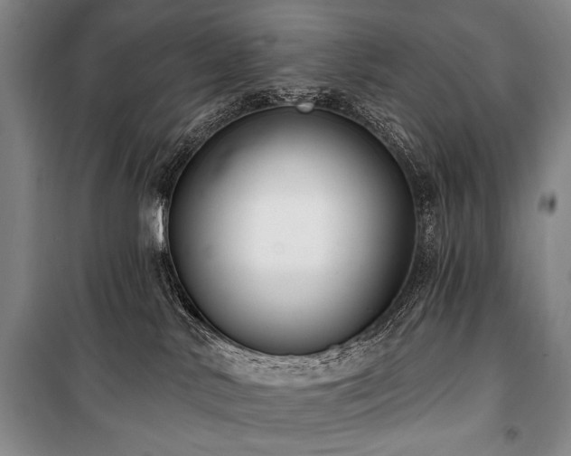X0000101180042200806271302