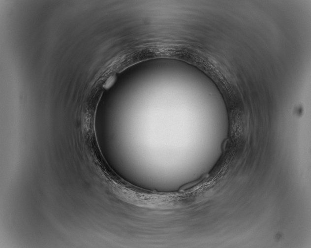 X0000101180044200806271302