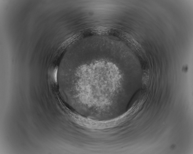 X0000101180047200806271302