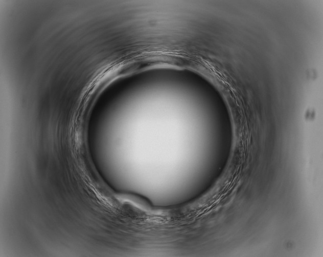 X0000101180050200806271301