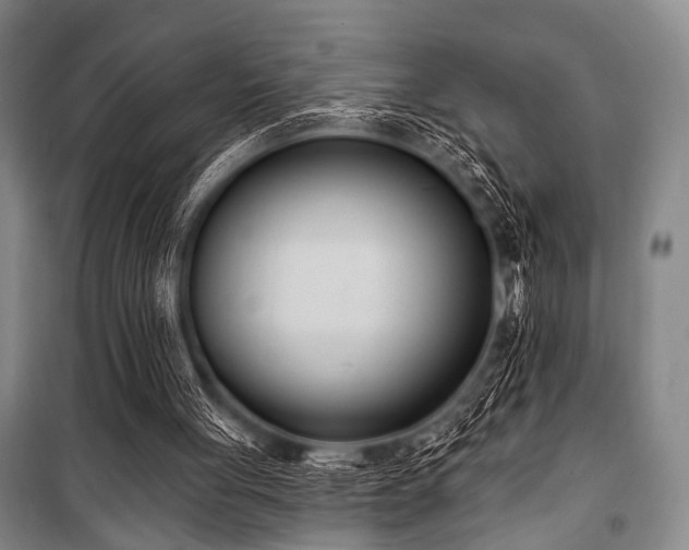 X0000101180051200806271301