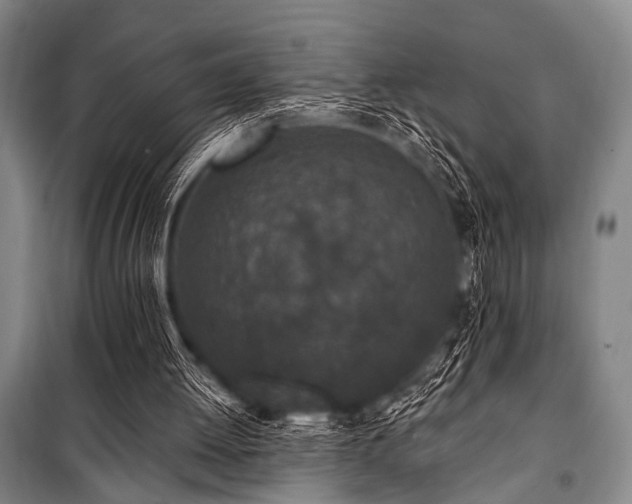 X0000101180052200806271301