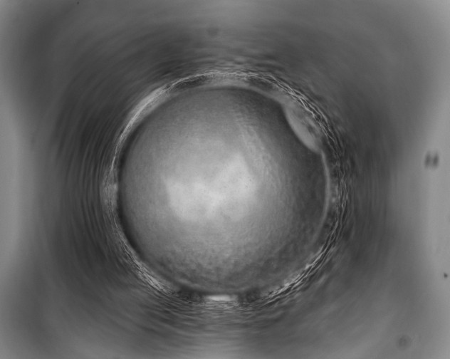 X0000101180053200806271301