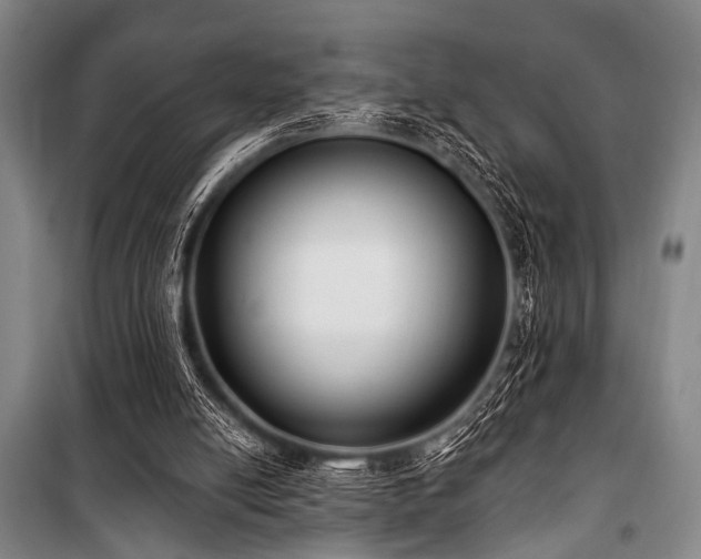 X0000101180054200806271301
