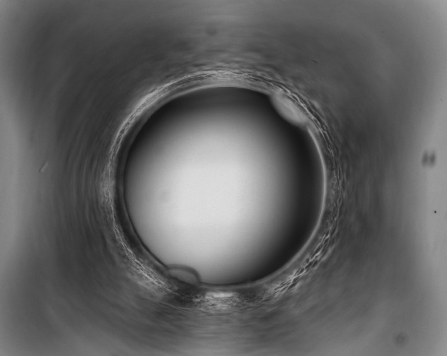 X0000101180055200806271301