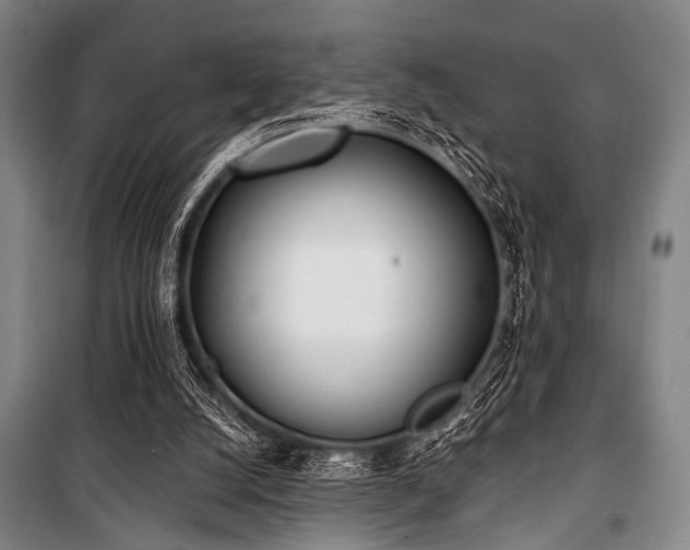 X0000101180056200806271301