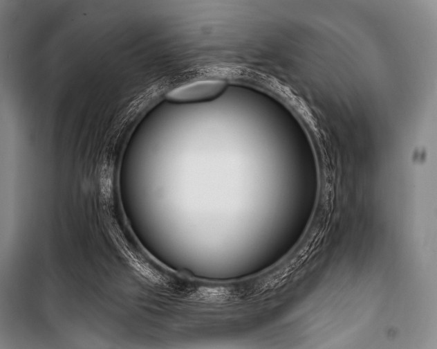 X0000101180057200806271301