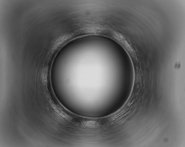 X0000101180058200806271301