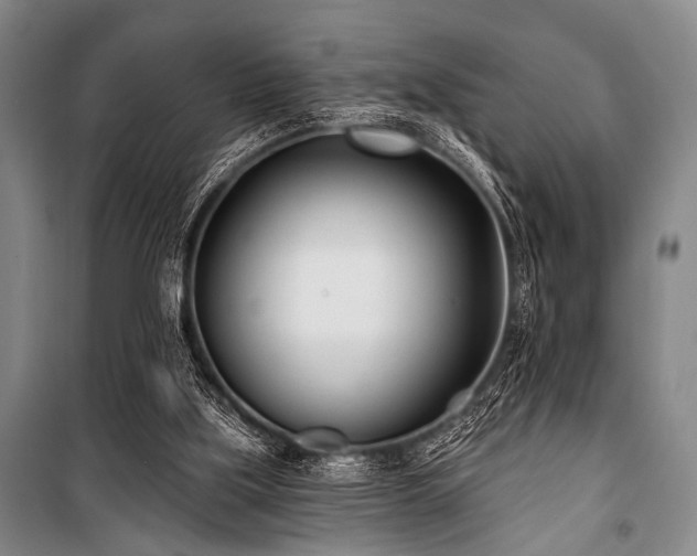 X0000101180059200806271301