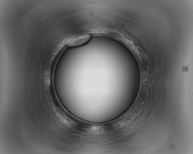 X0000101180060200806271301