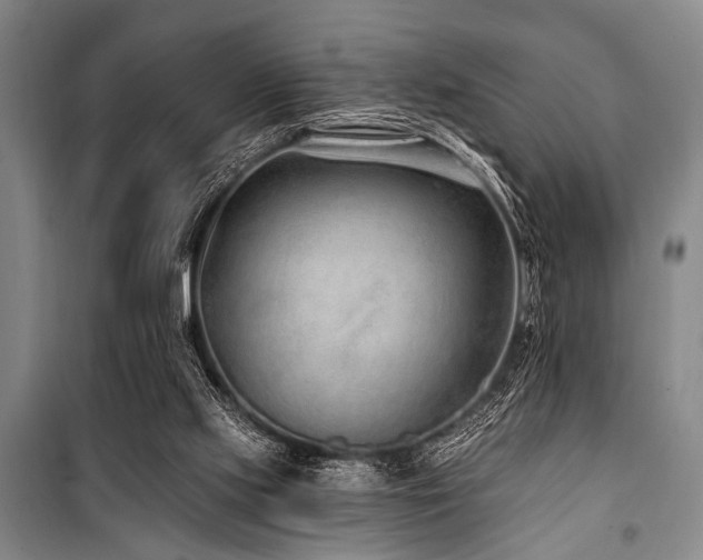 X0000101180061200806271301