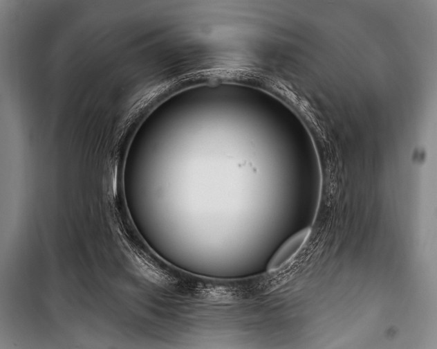 X0000101180062200806271301