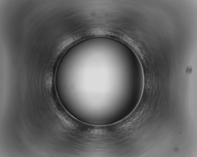 X0000101180063200806271301